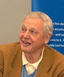 David Attenborough, Journalist