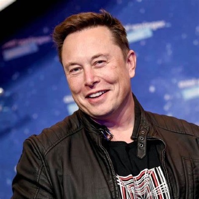Elon Musk, Businessman