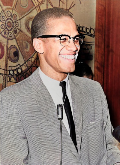 Malcolm X, Activist