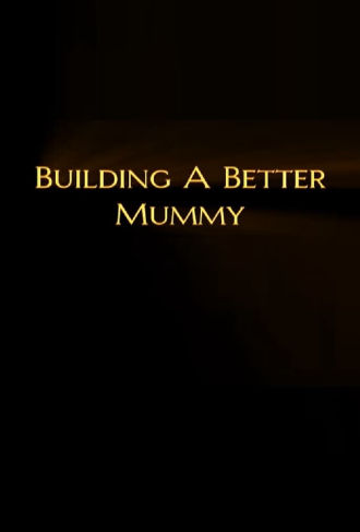Building A Better Mummy Poster