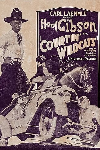 Courtin' Wildcats Poster