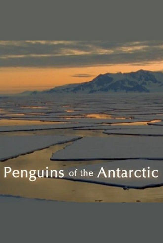 Penguins of the Antarctic Poster