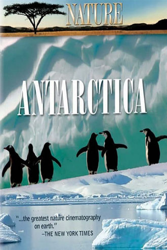 Under Antarctic Ice Poster