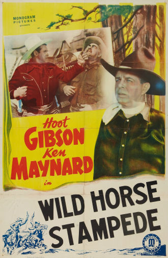 Wild Horse Stampede Poster
