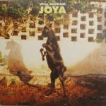 Joya (small)