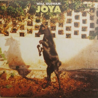 Joya Cover