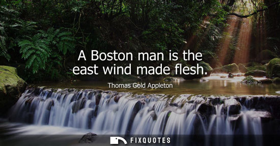 Small: A Boston man is the east wind made flesh