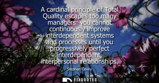 Small: A cardinal principle of Total Quality escapes too many managers: you cannot continuously improve interd