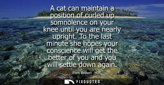 Small: A cat can maintain a position of curled up somnolence on your knee until you are nearly upright.