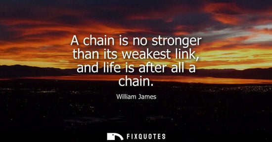 Small: A chain is no stronger than its weakest link, and life is after all a chain