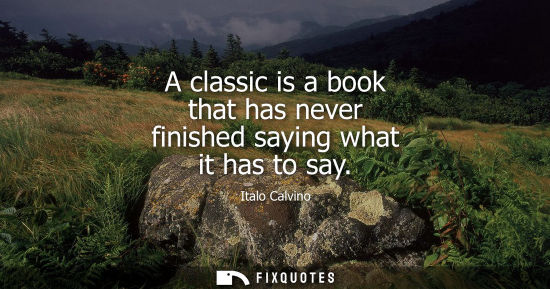 Small: A classic is a book that has never finished saying what it has to say