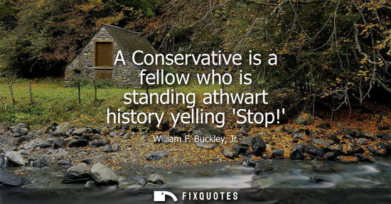 Small: A Conservative is a fellow who is standing athwart history yelling Stop!
