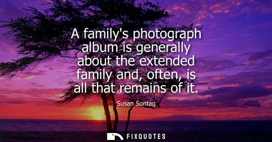 Small: A familys photograph album is generally about the extended family and, often, is all that remains of it