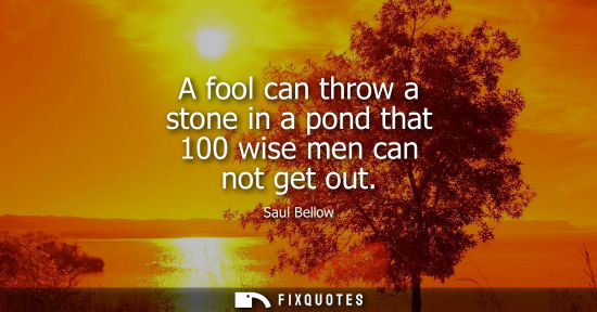 Small: A fool can throw a stone in a pond that 100 wise men can not get out
