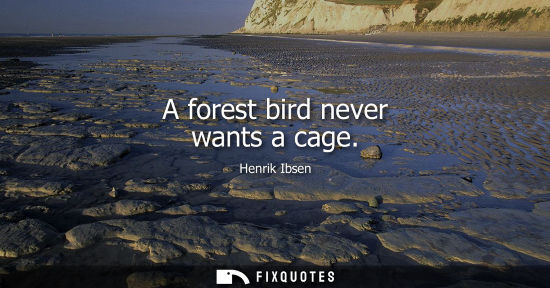 Small: A forest bird never wants a cage