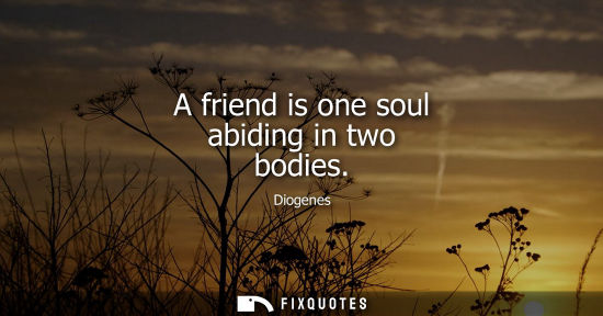 Small: A friend is one soul abiding in two bodies