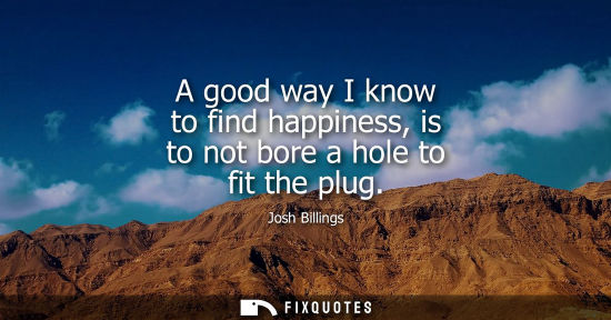 Small: A good way I know to find happiness, is to not bore a hole to fit the plug