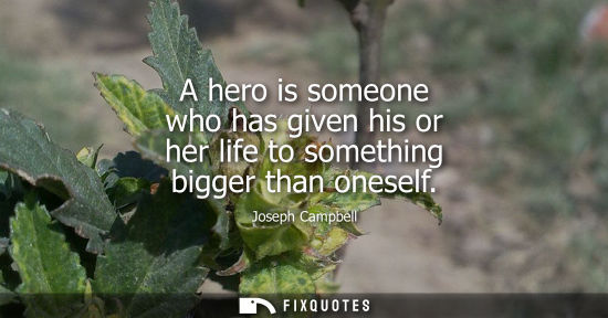 Small: A hero is someone who has given his or her life to something bigger than oneself