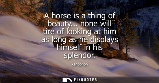 Small: A horse is a thing of beauty... none will tire of looking at him as long as he displays himself in his splendo