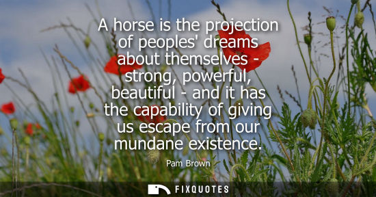 Small: A horse is the projection of peoples dreams about themselves - strong, powerful, beautiful - and it has