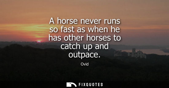 Small: A horse never runs so fast as when he has other horses to catch up and outpace