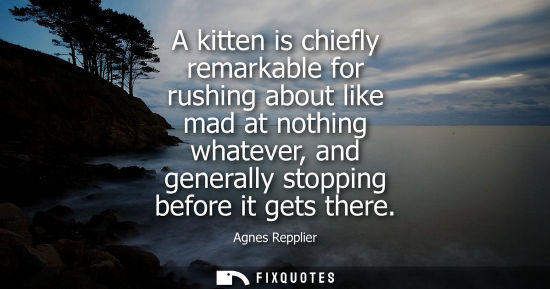 Small: A kitten is chiefly remarkable for rushing about like mad at nothing whatever, and generally stopping b