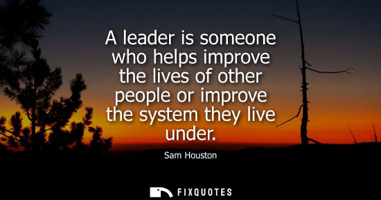 Small: A leader is someone who helps improve the lives of other people or improve the system they live under