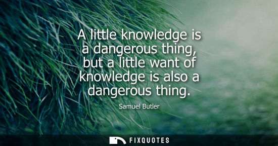 Small: A little knowledge is a dangerous thing, but a little want of knowledge is also a dangerous thing