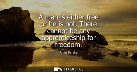 Small: A man is either free or he is not. There cannot be any apprenticeship for freedom