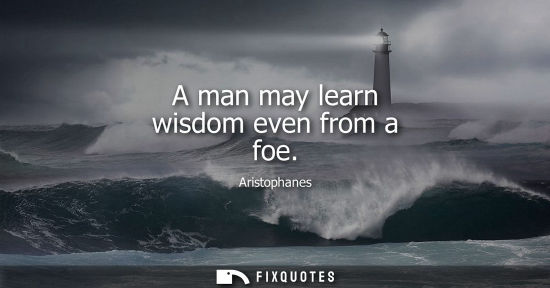 Small: A man may learn wisdom even from a foe
