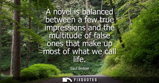 Small: A novel is balanced between a few true impressions and the multitude of false ones that make up most of