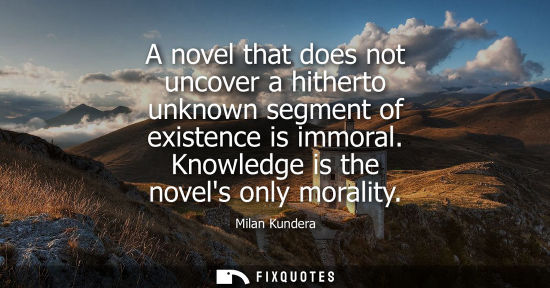Small: A novel that does not uncover a hitherto unknown segment of existence is immoral. Knowledge is the nove