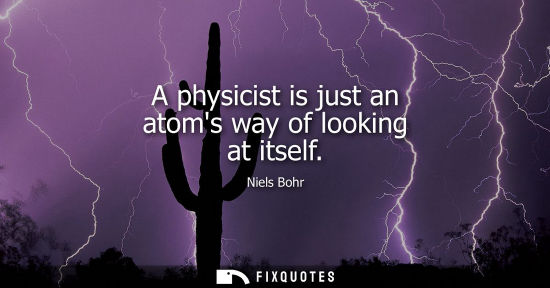 Small: A physicist is just an atoms way of looking at itself