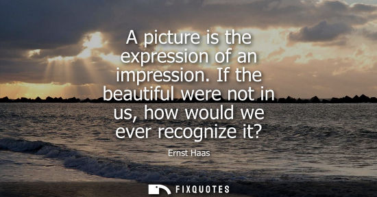 Small: A picture is the expression of an impression. If the beautiful were not in us, how would we ever recogn