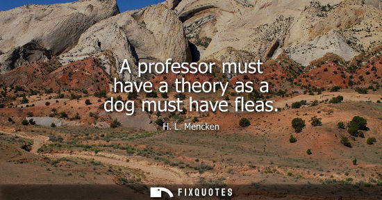 Small: A professor must have a theory as a dog must have fleas