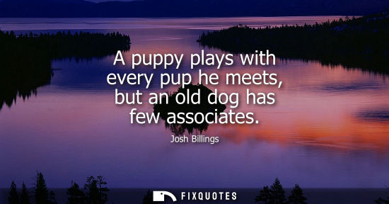 Small: A puppy plays with every pup he meets, but an old dog has few associates