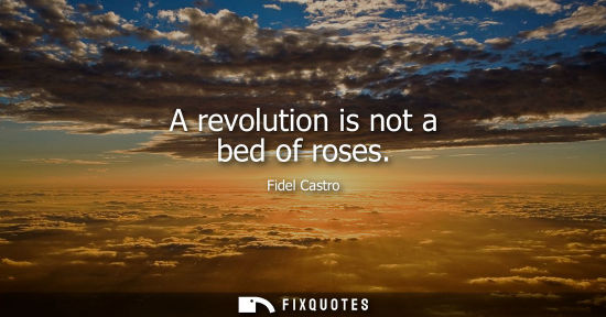 Small: A revolution is not a bed of roses