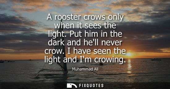 Small: A rooster crows only when it sees the light. Put him in the dark and hell never crow. I have seen the l