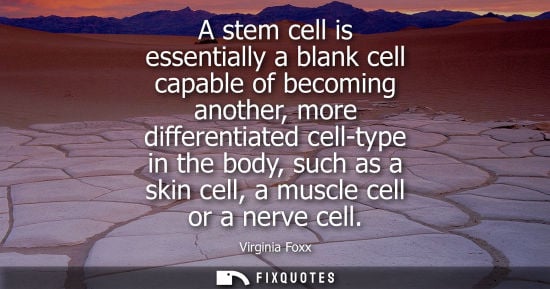 Small: A stem cell is essentially a blank cell capable of becoming another, more differentiated cell-type in t