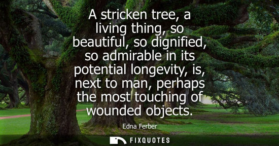 Small: A stricken tree, a living thing, so beautiful, so dignified, so admirable in its potential longevity, i