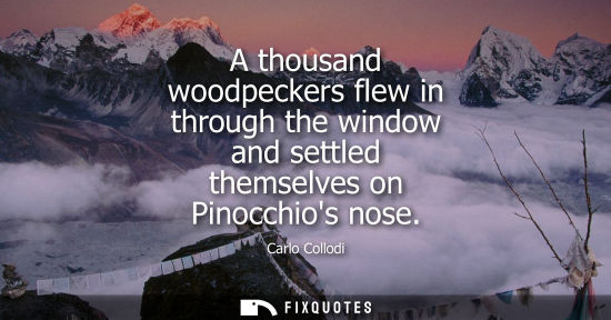 Small: A thousand woodpeckers flew in through the window and settled themselves on Pinocchios nose