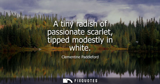 Small: A tiny radish of passionate scarlet, tipped modestly in white