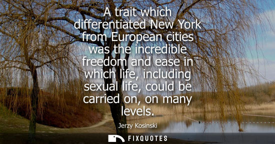 Small: A trait which differentiated New York from European cities was the incredible freedom and ease in which life, 