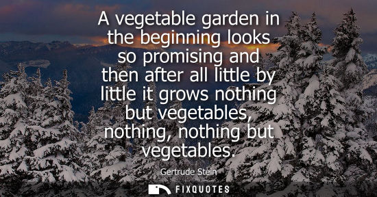 Small: A vegetable garden in the beginning looks so promising and then after all little by little it grows nothing bu