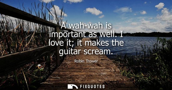 Small: A wah-wah is important as well. I love it it makes the guitar scream