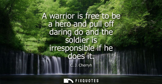 Small: A warrior is free to be a hero and pull off daring do and the soldier is irresponsible if he does it