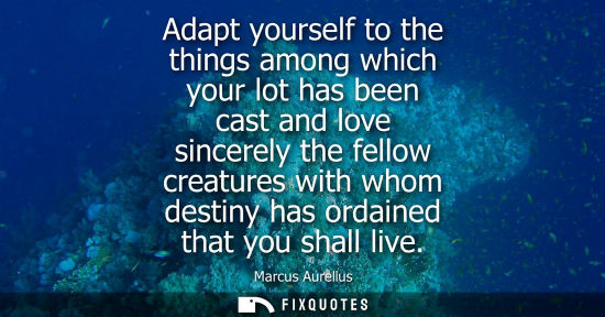 Small: Adapt yourself to the things among which your lot has been cast and love sincerely the fellow creatures with w