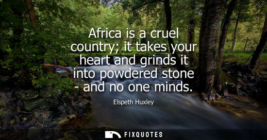 Small: Africa is a cruel country it takes your heart and grinds it into powdered stone - and no one minds