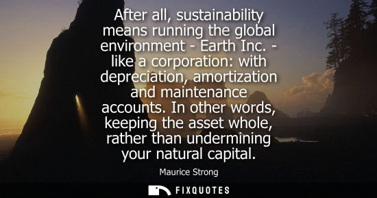 Small: After all, sustainability means running the global environment - Earth Inc. - like a corporation: with 