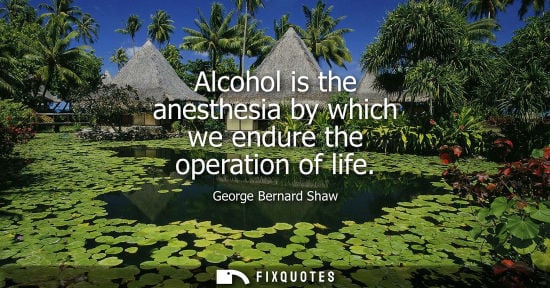 Small: Alcohol is the anesthesia by which we endure the operation of life